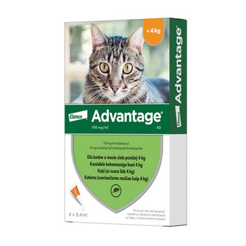 Advantage kot 40 0,4ml krople dla kota poniżej 4kg przeciw pchłom - 1 pipetką - ELANCO zdjęcie 1