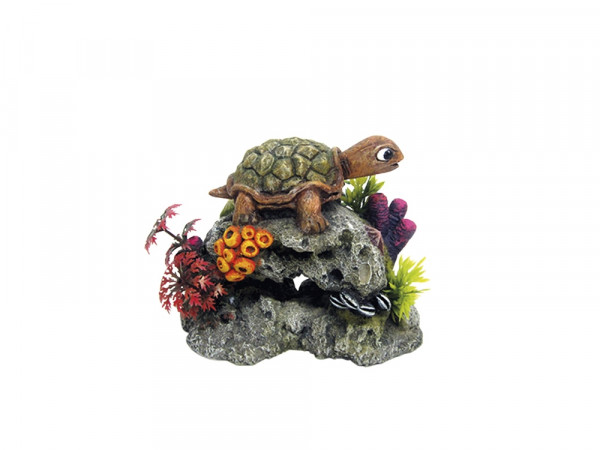 Ozdoba akwariowa Nobby " Turtle on rock " 13,5x8,5x10,7 cm - " Żółw na skale " - Nobby zdjęcie 1