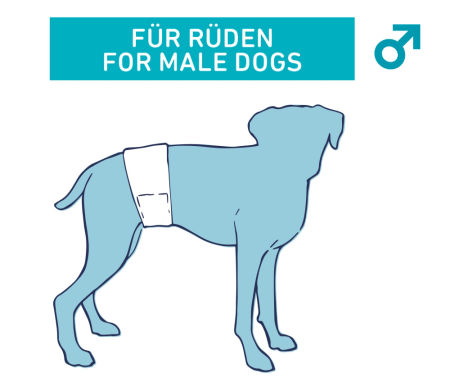 Pieluchy dla psa Nobby (dla płci męskiej) M-L 46-60cm 12szt. - Nobby zdjęcie 2