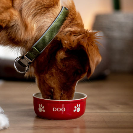 Miska ceramiczna Nobby dla psa "Dog " czerwono-beżowa 0,25 L  Ø 13,5x5cm - Nobby zdjęcie 3