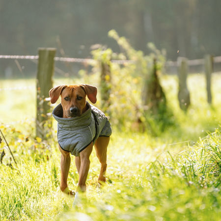 Płaszcz-ubranko dla psa Nobby "YAKA" szare 23 cm - Nobby zdjęcie 2