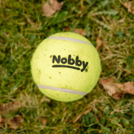 Zabawka dla psa Nobby Tennis Line Ball "M" Ø 6,5cm - tenisowa, żółta piłka  - Nobby zdjęcie 2
