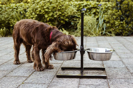Miski metalowe na stojaku "Diner Bar" 2 x 2.5L Ø 25cm(regulacja 10-50 cm) - Nobby zdjęcie 2