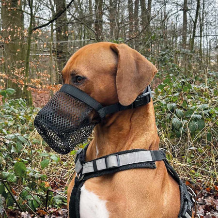 Poison protection Nobby - nylonowy kaganiec dla psa zapobiegający połknięciu, zjadaniu niepożądanych rzeczy S 18cm czarny - Nobby zdjęcie 2