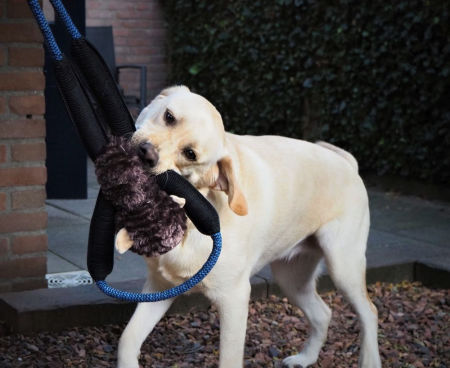 Pluszowa zabawka dla psa Nobby plusz animal Stretch with rope Monkey 50cm - pluszowa, z liną, piszczałką i rozciągliwymi elementami małpka - Nobby zdjęcie 2