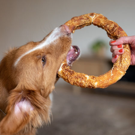 Przysmak dla psa Starsnack Chicken Donut XL Nobby 220 g - z kurczakiem - Nobby zdjęcie 2