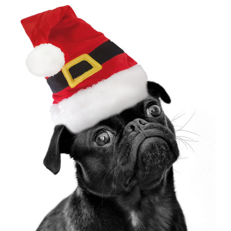 Xmas Nobby Świąteczna pluszowa czapeczka dla psa 38 * Ø 14,5cm  - Nobby zdjęcie 2