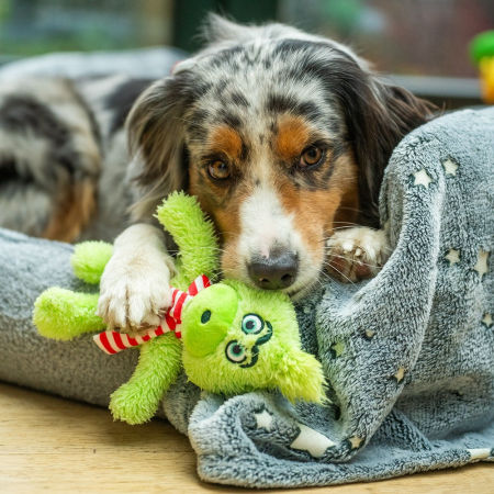 Pluszowa zabawka dla psa Nobby plush figure Grimo large 42cm - miękki, pluszowy Grinch z szeleszczącymi elementami i piszczałką - Nobby zdjęcie 2