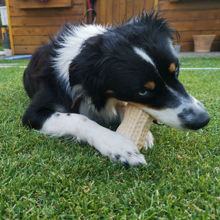 Zabawka z gumy termoplastycznej dla psa Nobby TPR Peanut 11cm- pachnący orzech ziemny  - Nobby zdjęcie 2