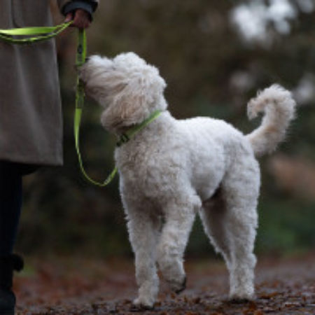 Smycz dla psa Nobby Full Reflect S-M 15mm / 2,00 m żółta - Nobby zdjęcie 3