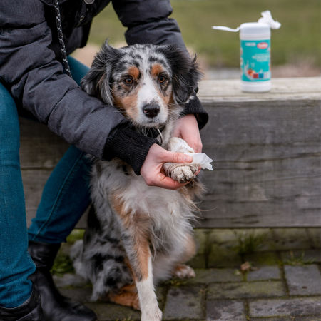 Cleaning wipes chusteczki czyszczące dla zwierząt Nobby z zapachem brzoskwiniowym 70szt/op. - Nobby zdjęcie 2