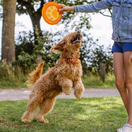 Zabawka z gumy termoplastycznej dla psa Nobby TPR Fly Disc "Paw" Ø22cm-pomarańczowy, latający, pływający dysk - Nobby zdjęcie 2
