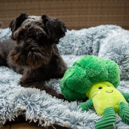 Pluszowa zabawka dla psa Nobby plush vegetables Brokkoli 25cm - pluszowy brokuł z piszczałkami - Nobby zdjęcie 2