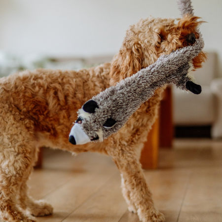 Pluszowa zabawka dla psa Nobby plush raccoon flat small 61cm - pluszowy, płaski szop z piszczałką - Nobby zdjęcie 2