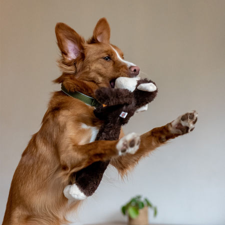 Pluszowa zabawka dla psa Nobby plush monkey large 43cm - pluszowa małpa z piszczałką - Nobby zdjęcie 2