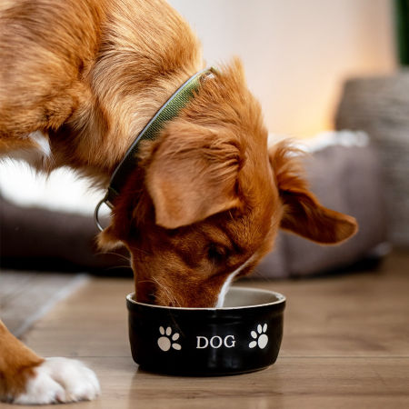 Miska ceramiczna Nobby dla psa "Dog " czarno-beżowa 0,25 L  Ø 13,5x5cm - Nobby zdjęcie 3