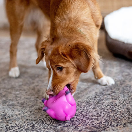 Lateksowa zabawka dla psa Nobby Pig 20cm - różowa świnka ze specjalnym dźwiękiem 🎶 - Nobby zdjęcie 2