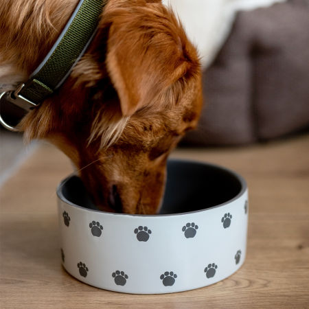 Miska ceramiczna Nobby dla psa/kota "Pata " kremowo/szara 0,25l  Ø 12x4,5cm - Nobby zdjęcie 2