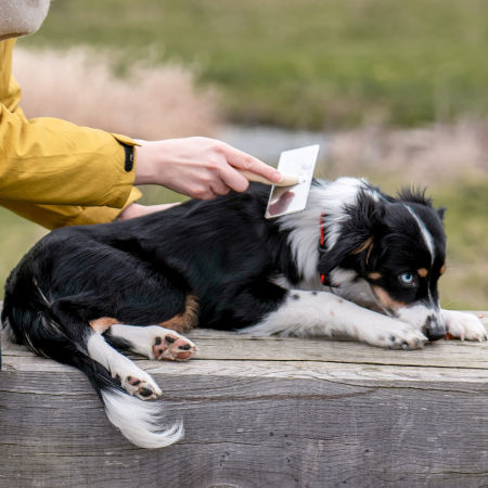 Szczotka Nobby "Pudlówka" do sierści i podszerstka z serii "Nature Line" M - Nobby zdjęcie 2