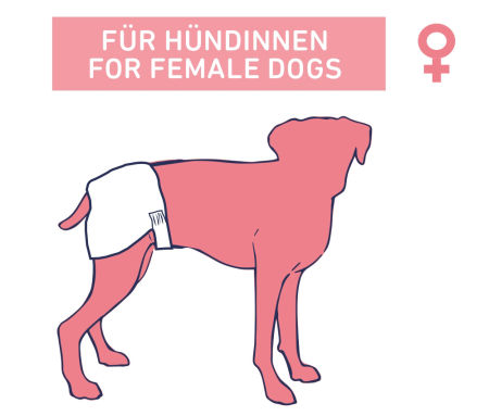 Pieluchy dla psa Nobby ( suczki - damskie) M 32-48cm 12szt. - Nobby zdjęcie 2