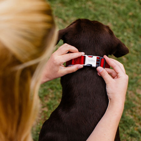 Obroża dla psa Nobby Classic Preno Royal XS 15/20 mm, 28-34 cm czerwona - Nobby zdjęcie 2