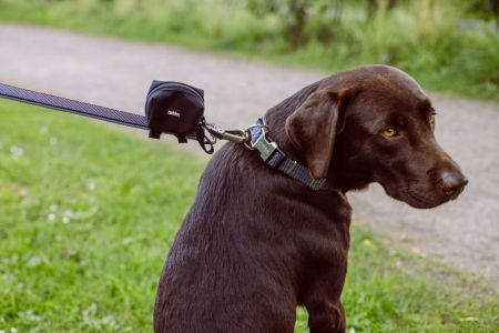 Dozownik na woreczki Rio Nobby 7,5x4x5cm - nylonowa, wodoodporna, niebieska torba na woreczki na odchody - Nobby zdjęcie 2