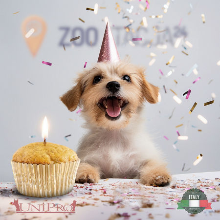 UniPro przysmak włoskie ciastko dla psa jabłko-banan - UniPro zdjęcie 3