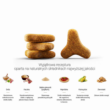 Josera CATELUX z pyszną kaczką dla wybrednych kotów 10 kg - Josera zdjęcie 2