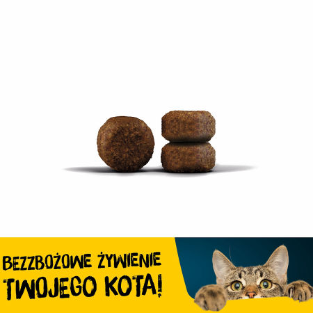 Josera DAILYCAT 10kg bezzbożowa karma z pysznym kurczakiem - Josera zdjęcie 2